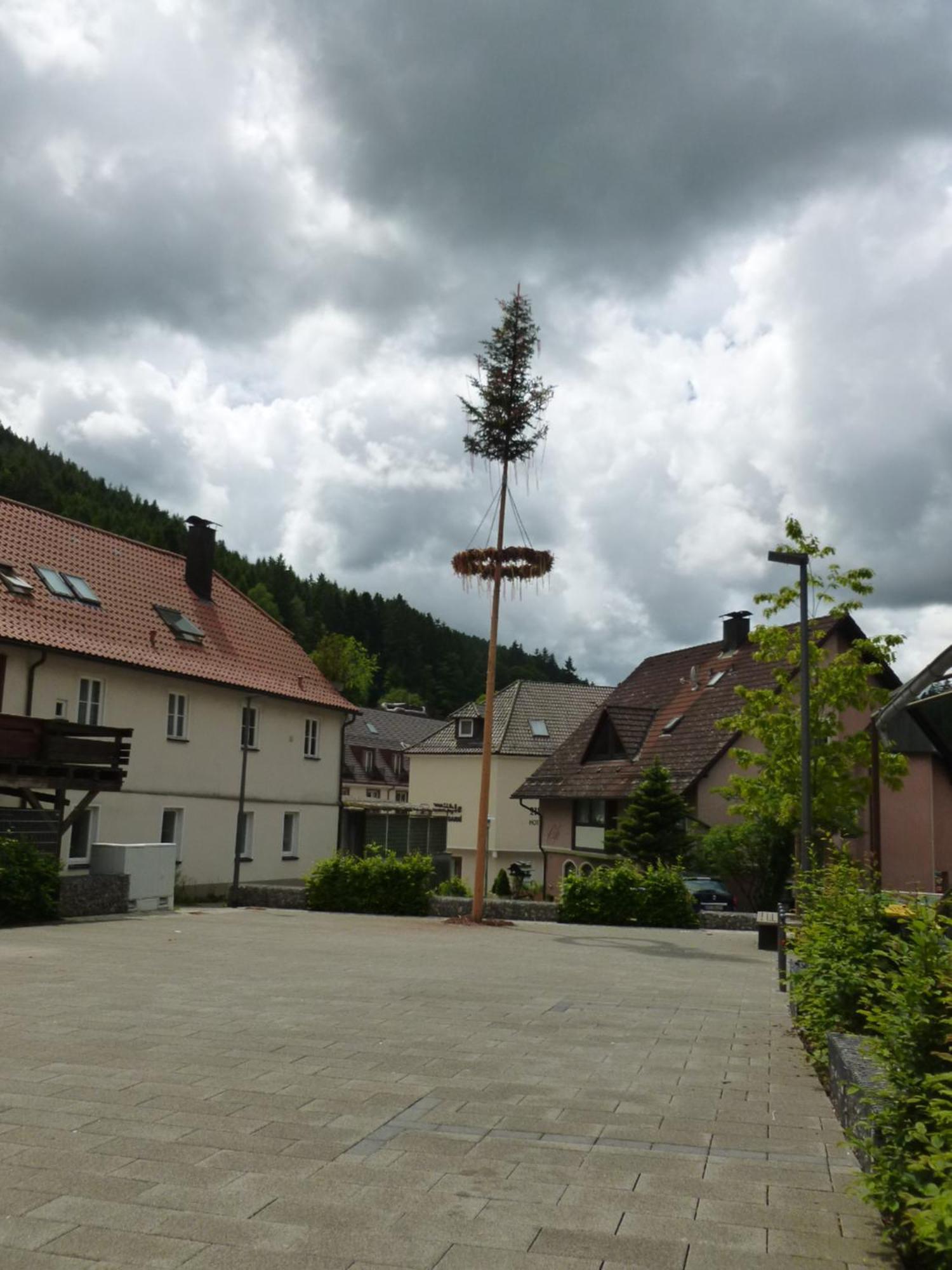 Gasthaus Waldhorn Bad Teinach-Zavelstein Kültér fotó